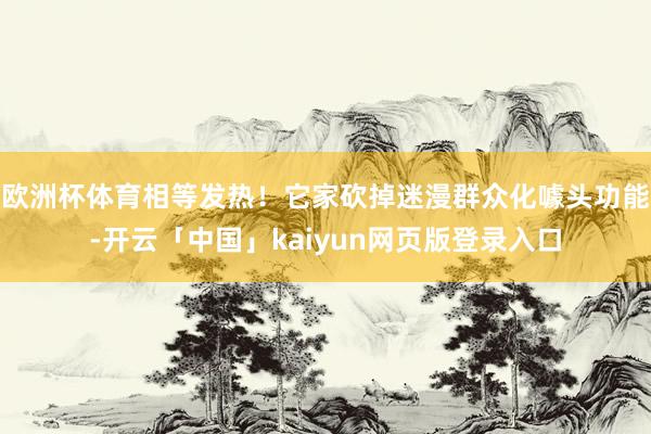 欧洲杯体育相等发热！它家砍掉迷漫群众化噱头功能-开云「中国」kaiyun网页版登录入口